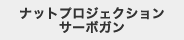 ナットプロジェクションサーボガン